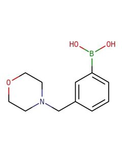 Astatech (3-(MORPHOLINOMETHYL)PHENYL)BORONIC ACID; 1G; Purity 95%; MDL-MFCD08060623